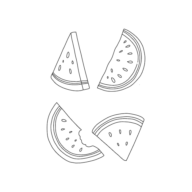 watermelon handrawn doodle illustrations vector set