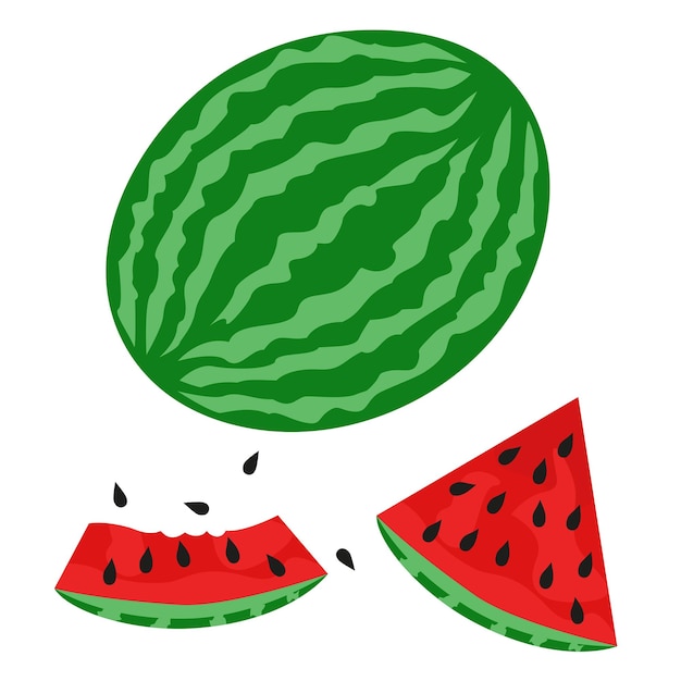 Watermelon illustration flat style minimalism watermelon slices with seeds