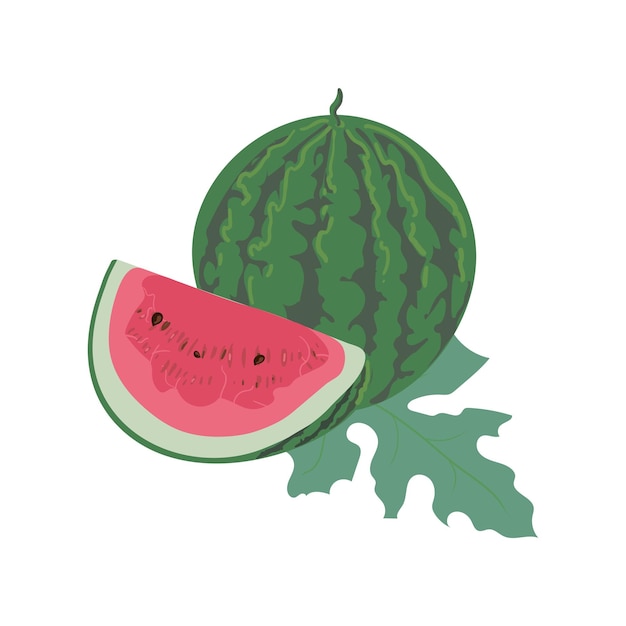 Watermelon juicy slice and green leaf Summer food concept illustration isolated