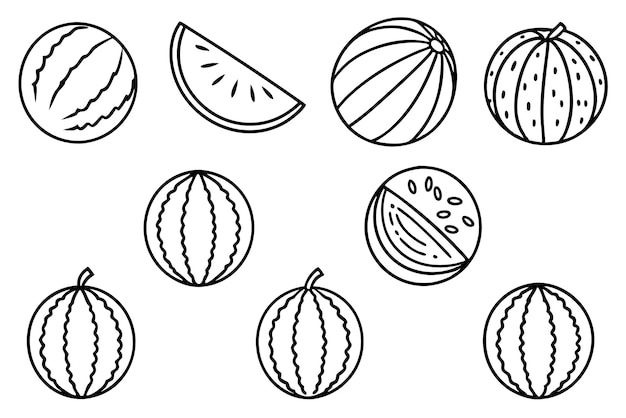 Watermelon line art intricate black and white sketch