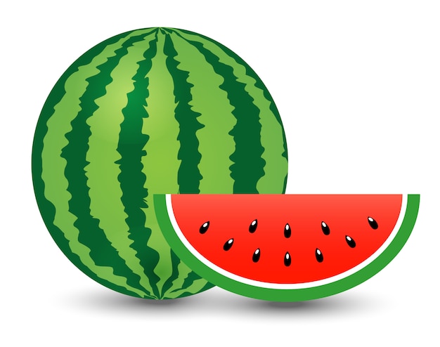 Watermelon and piece on white background