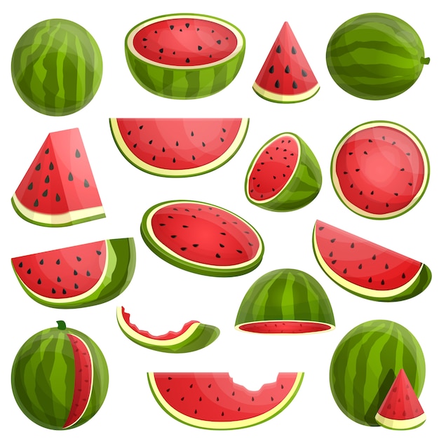 Watermelon set. Cartoon set of watermelon