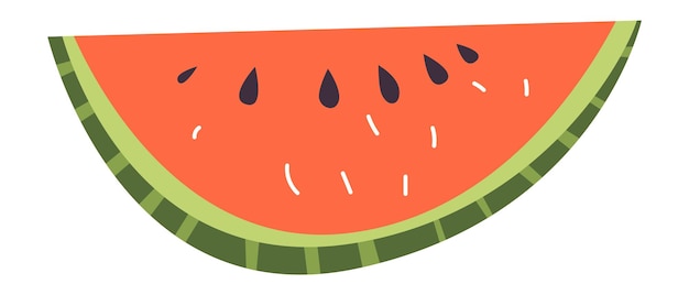 Watermelon slice. Summer symbol. Piece of fresh fruit. Vector illustration