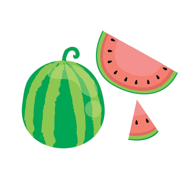 Watermelon summer fruit in flat illustration