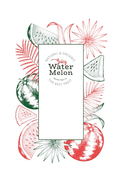 Watermelon and tropical leaves template. 