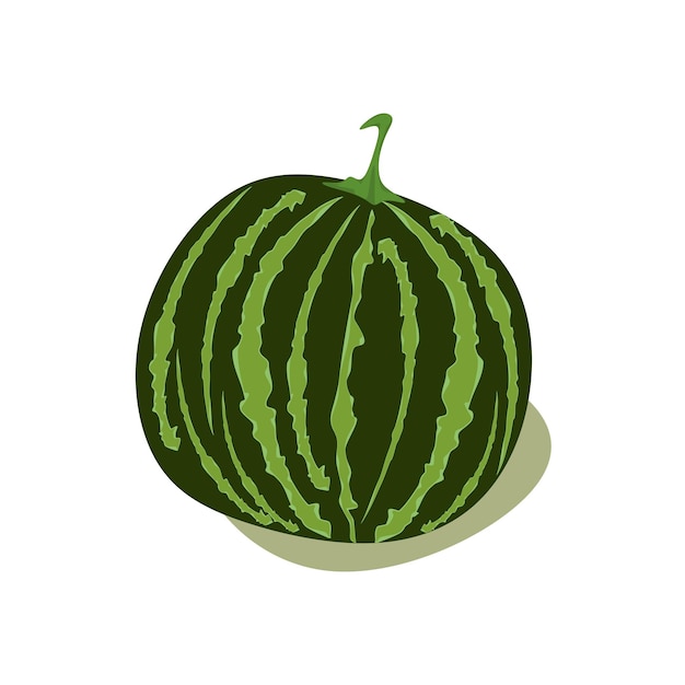 Watermelon vector clipart isolated on white background