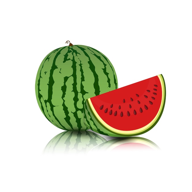 Watermelon vector illustration