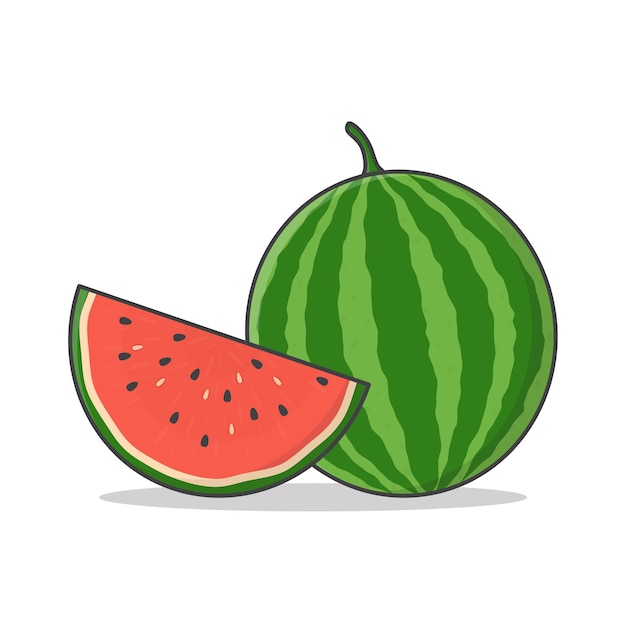 Watermelon Vector isolated on white