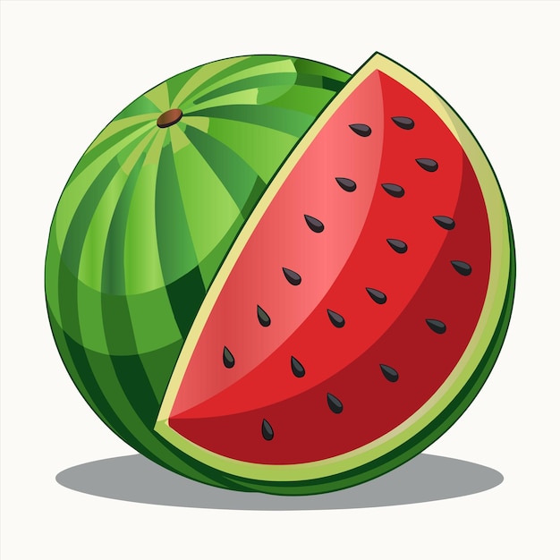 Vector a watermelon with a green top and a red top