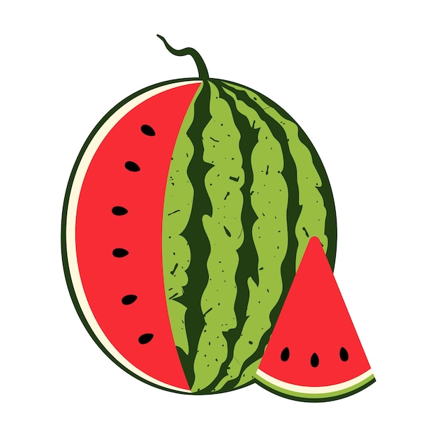 Watermelon with juicy slice. Summer fruit illustration isolated on white background.