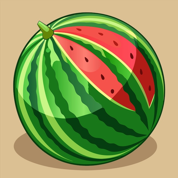 Vector a watermelon with a picture of a watermelon on it