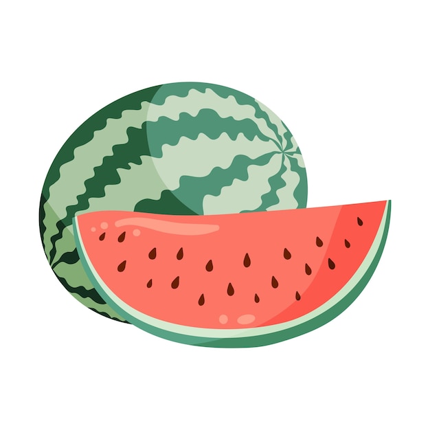 Watermelons composition with whole watermelon and a slice Flat vector illustration Tropical fruit drawing for food graphics summer designs menu logo stickers