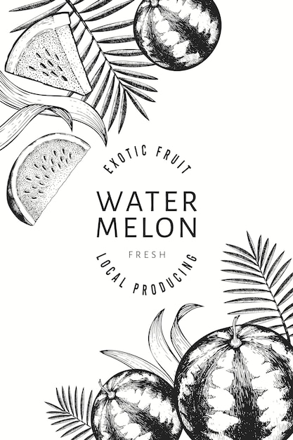 Watermelons, melons and tropical leaves design