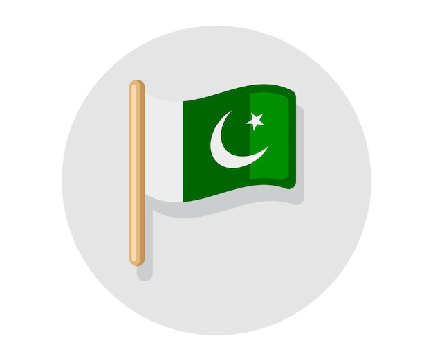 Waving vector Flag of Pakistan