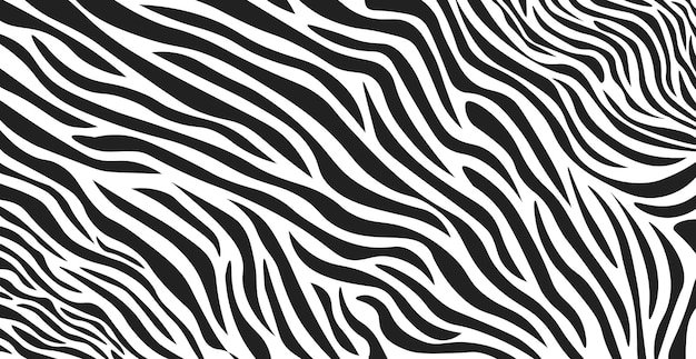 Vector wavy black and white zebra fur texture  vector