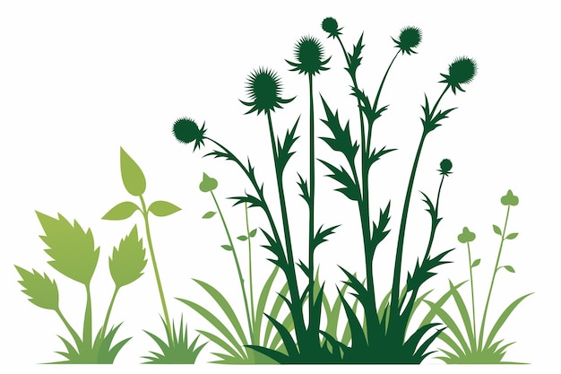 Vector weeds on white background o