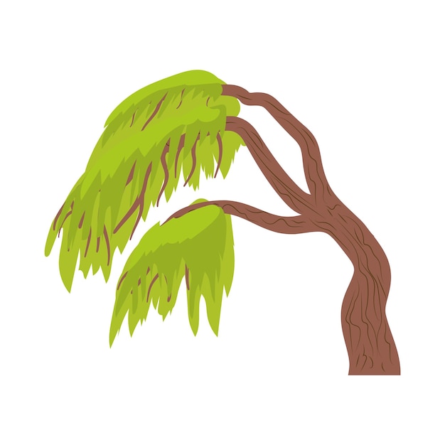 Weeping willow icon in cartoon style on a white background