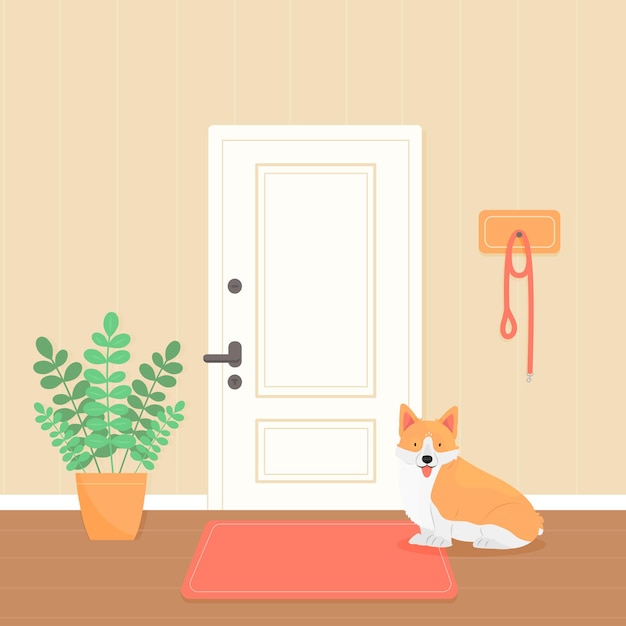 A welsh corgi dog is waiting for a walk The dog is sitting in the hallway by the door