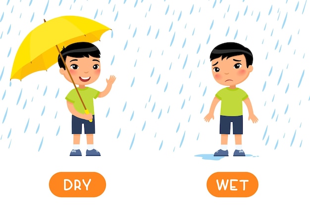 WET and DRY antonyms word card template