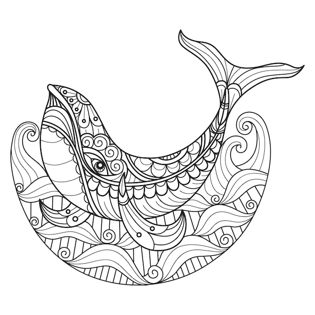 Whale hand drawn for adult coloring book