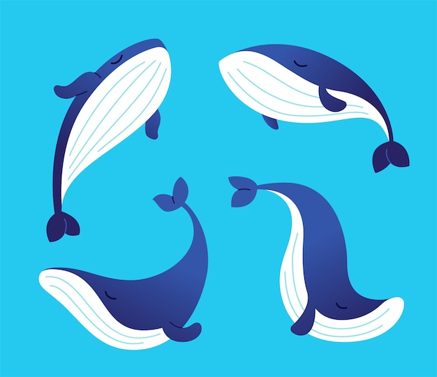 Whale  modern vector set of flat illustrations