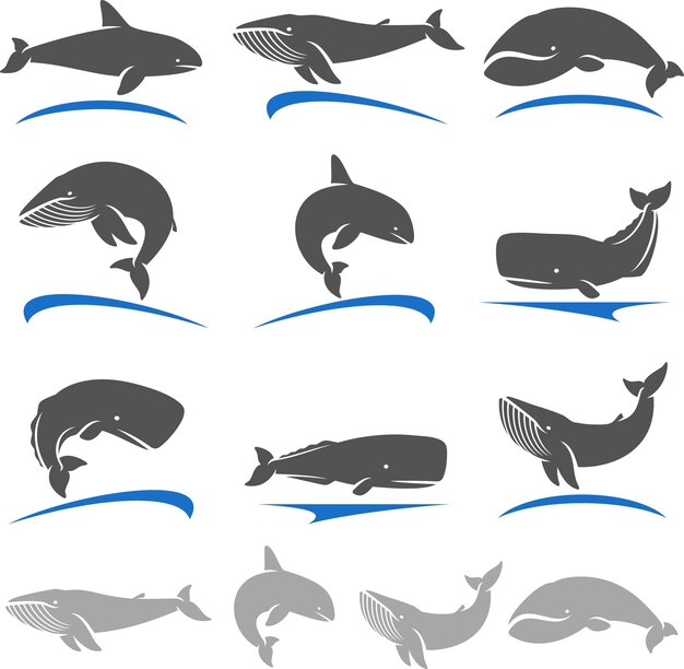 Whale set Vector