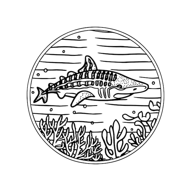 Whale Shark coloring pages Whale Shark outline for coloring book