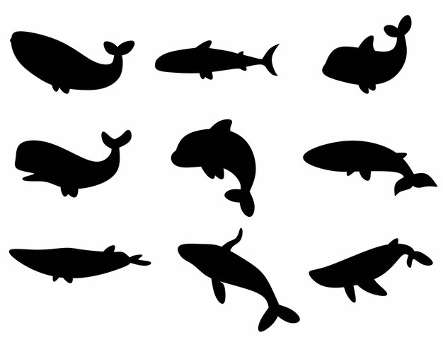 Whale silhouettes