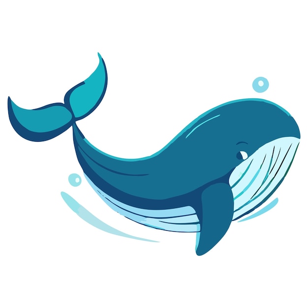 Whale vector 8