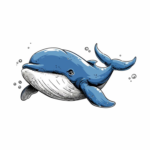 Whale vector cute