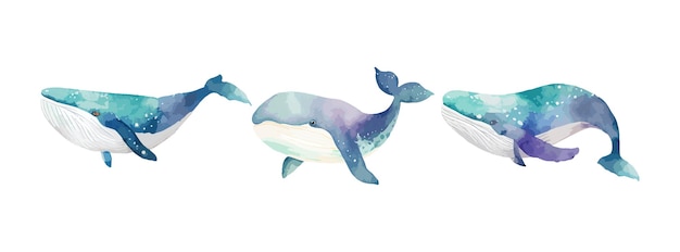 Whale watercolor set isolated on white background Collection of underwater animal ocean whale fish sea nature drawing Vector illustration