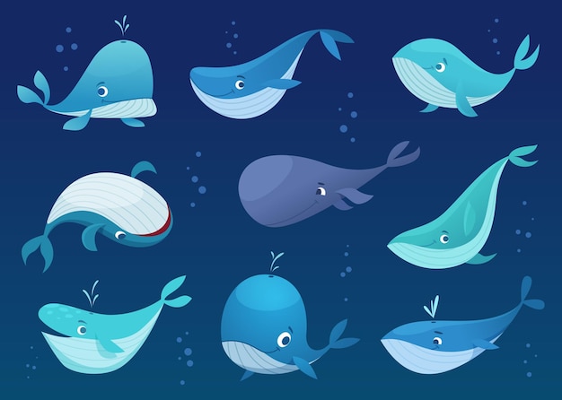 Whales cartoon Underwater wild big cute fishes sea or ocean swimming animals exact vector whales in various poses isolated