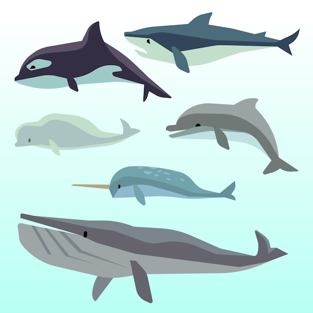 Whales and dolphins, marine underwater mammal, ocean animals flat 