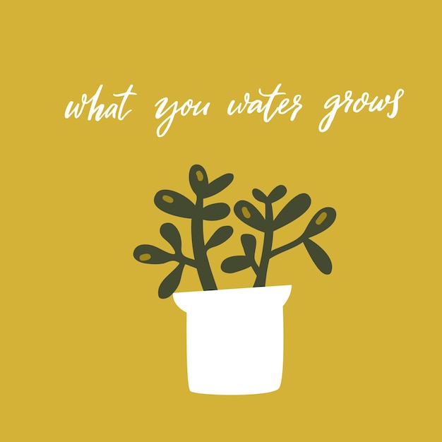 What you water grows. Inspirational quote, handwritten wisdom. Hand drawn doodle illustration of crassula plant in pot on green background. Motivational card vector design.