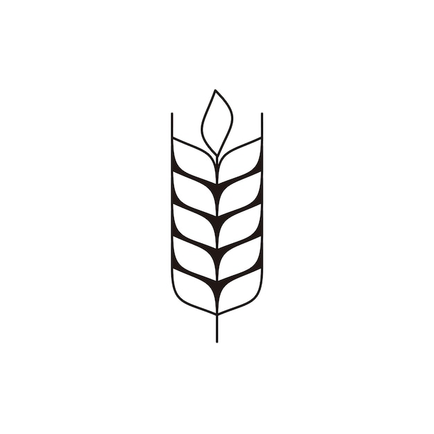 wheat barley line art logo design