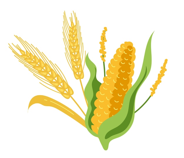 Wheat crop corn cereal millet composition isolated concept flat graphic design illustration