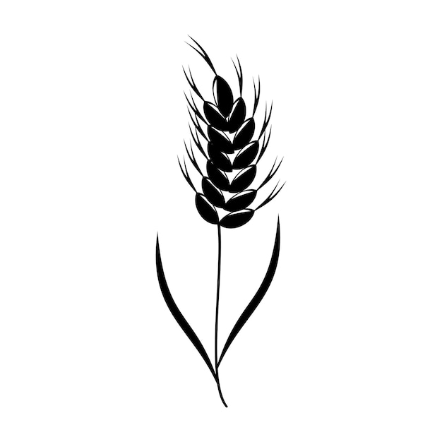 Wheat ear black icon