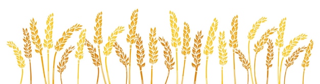 Wheat ear gold engraved border background agricultural silhouette press golden flour production