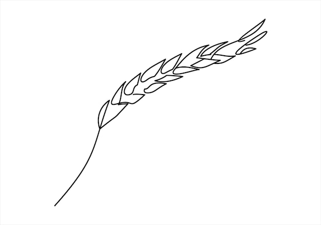 Wheat ear line icon, outline vector logo illustration