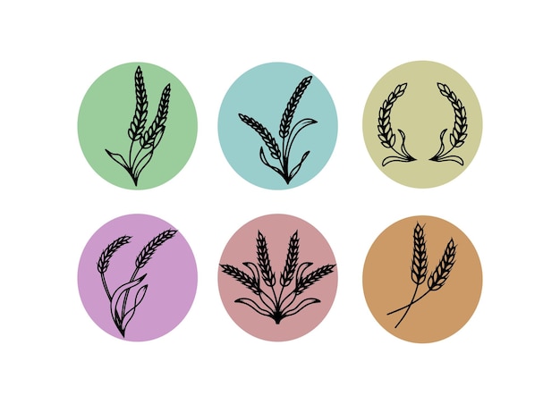 Wheat Ears Icons and Logo Set. For Identity Style of Natural Product Company and Farm Company