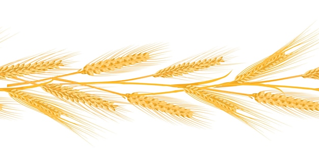 wheat Ears  illustration