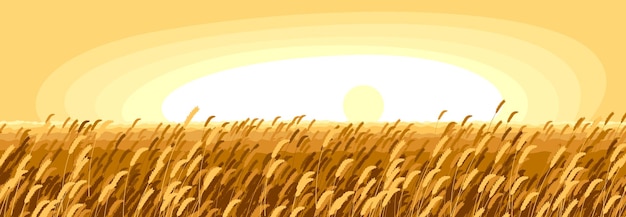 Wheat field scenic tranquil and calm landscape vector illustration, forget about all the problems and relax concept.