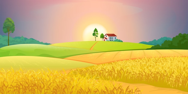 Wheat fields illustration