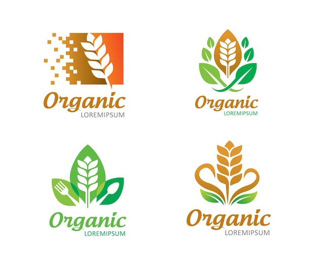 Wheat food logo symbol or icon template