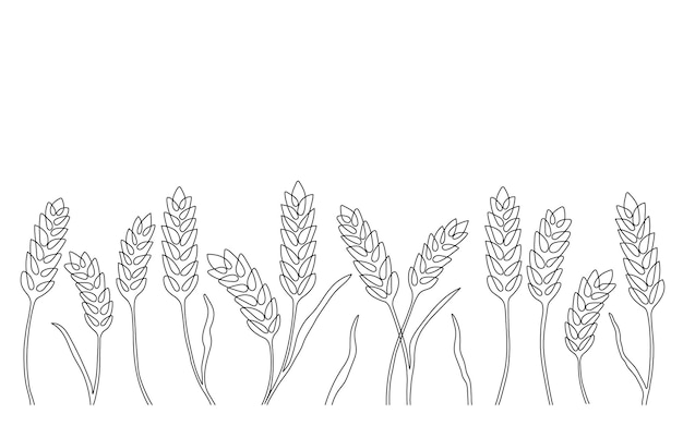 Wheat grain ear border nature pattern continuous line sketch of wheat barley rice corn oat ear grain