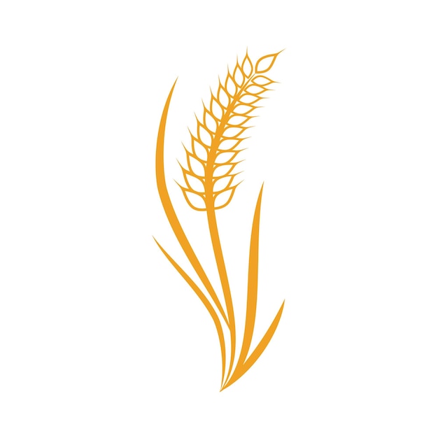 Wheat Logo template vector illustration design