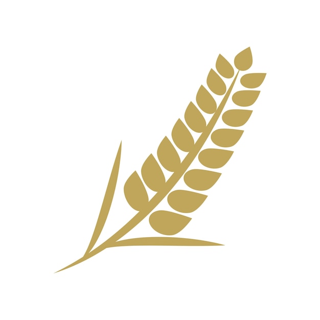 Wheat Logo template vector illustration design