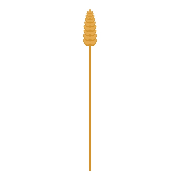 Wheat plant icon Isometric of wheat plant vector icon for web design isolated on white background