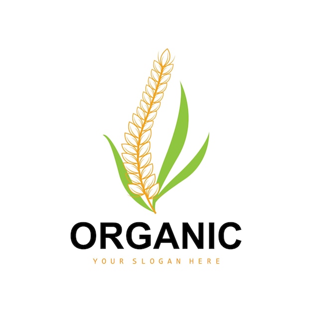 Wheat Rice Logo Agricultural Organic Plants Vector Luxury Design Golden Bakery Ingredients