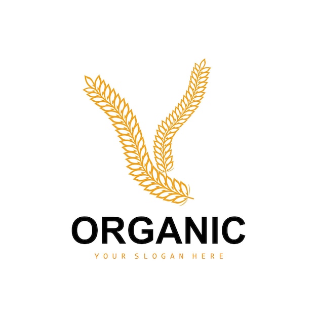 Wheat Rice Logo Agricultural Organic Plants Vector Luxury Design Golden Bakery Ingredients